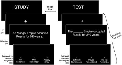 A combination of restudy and retrieval practice maximizes retention of briefly encountered facts